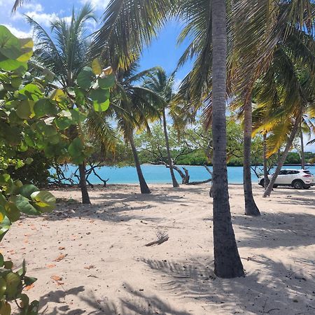 Casita Linda Larimar - 2Br Apartment With Rooftop, Bay Views, Fast Wifi, Near Beach In Barahona Exteriör bild