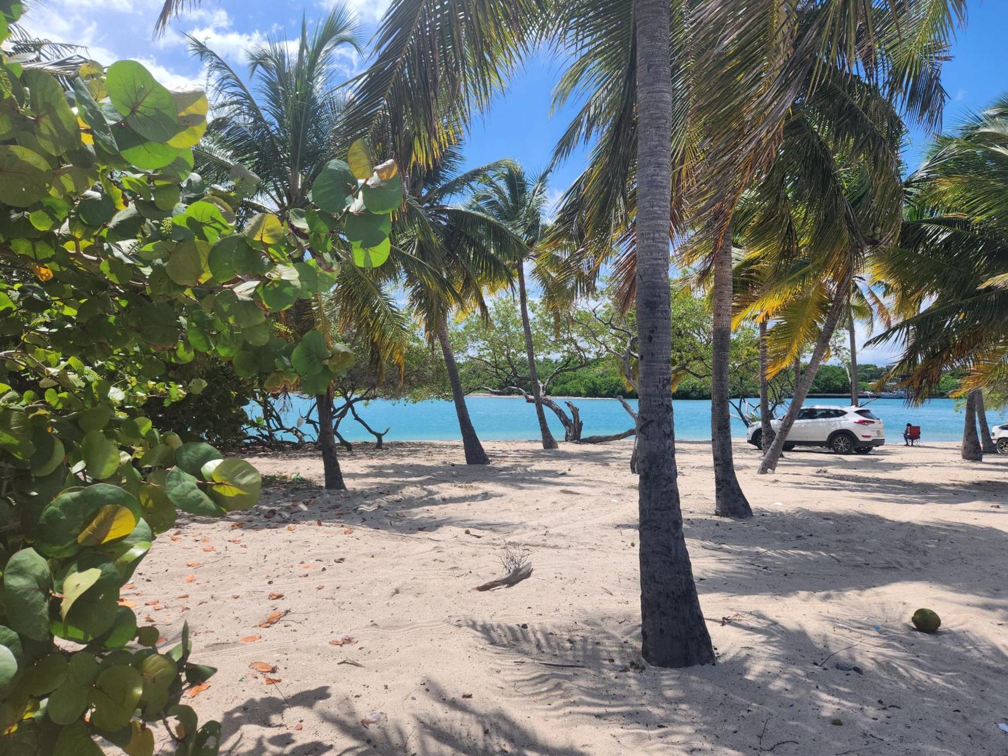 Casita Linda Larimar - 2Br Apartment With Rooftop, Bay Views, Fast Wifi, Near Beach In Barahona Exteriör bild