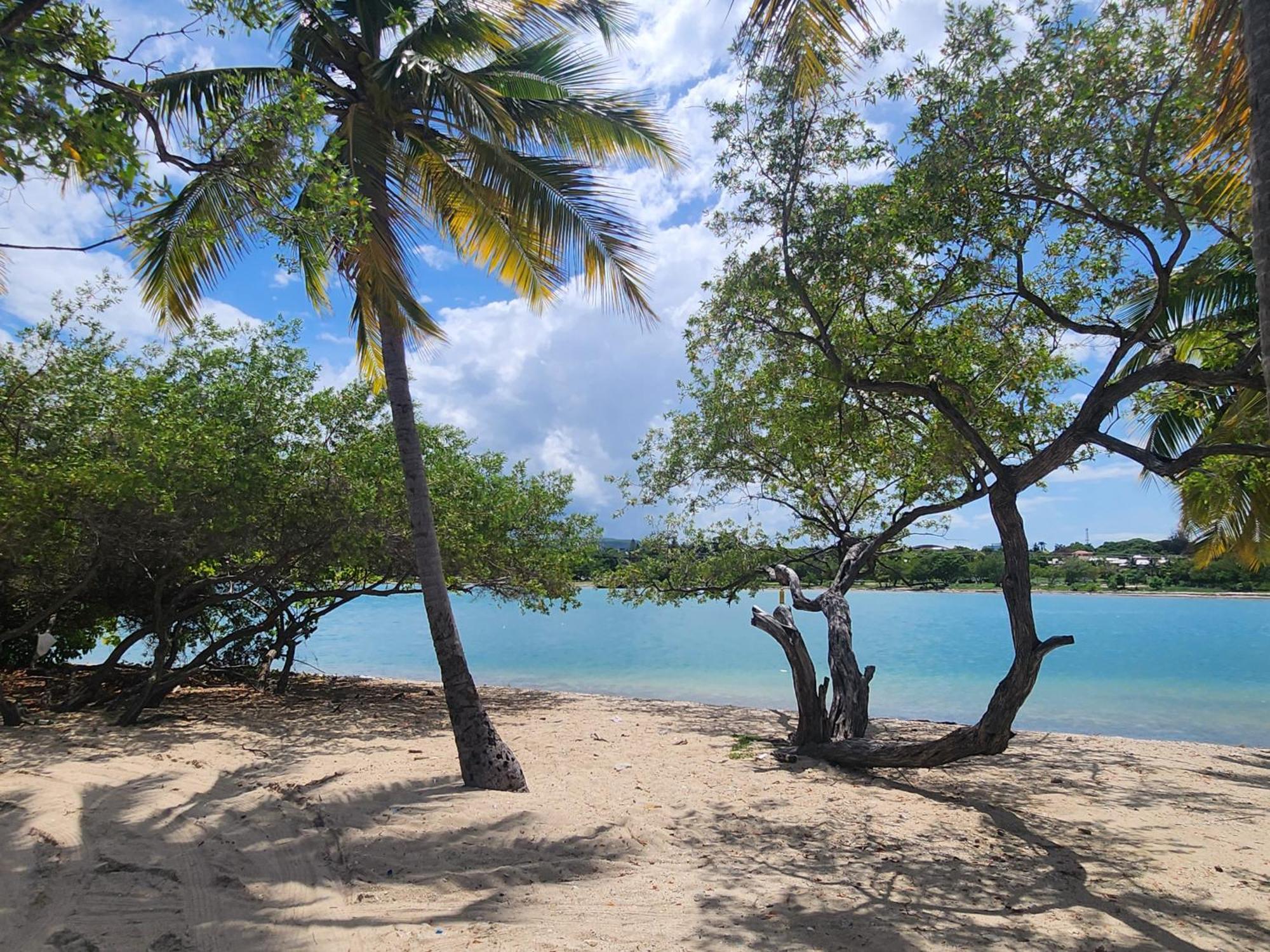 Casita Linda Larimar - 2Br Apartment With Rooftop, Bay Views, Fast Wifi, Near Beach In Barahona Exteriör bild
